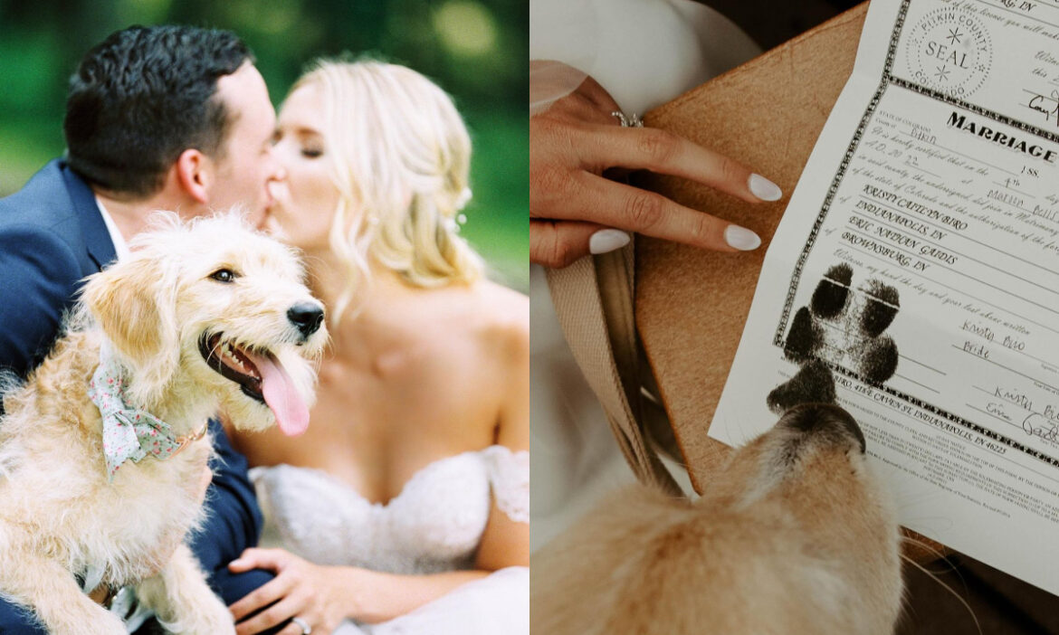 狗狗也能用肉球幫妳證婚？（圖／Instagram ＠ sarahnicholephotofilms、＠feliciarenaephotography）