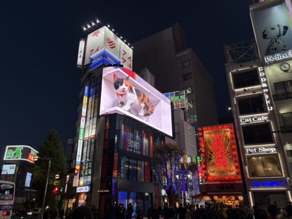 日本從白天到黑夜，街上都可以看到不少上班族還在奔波。（圖／Iris.L攝）