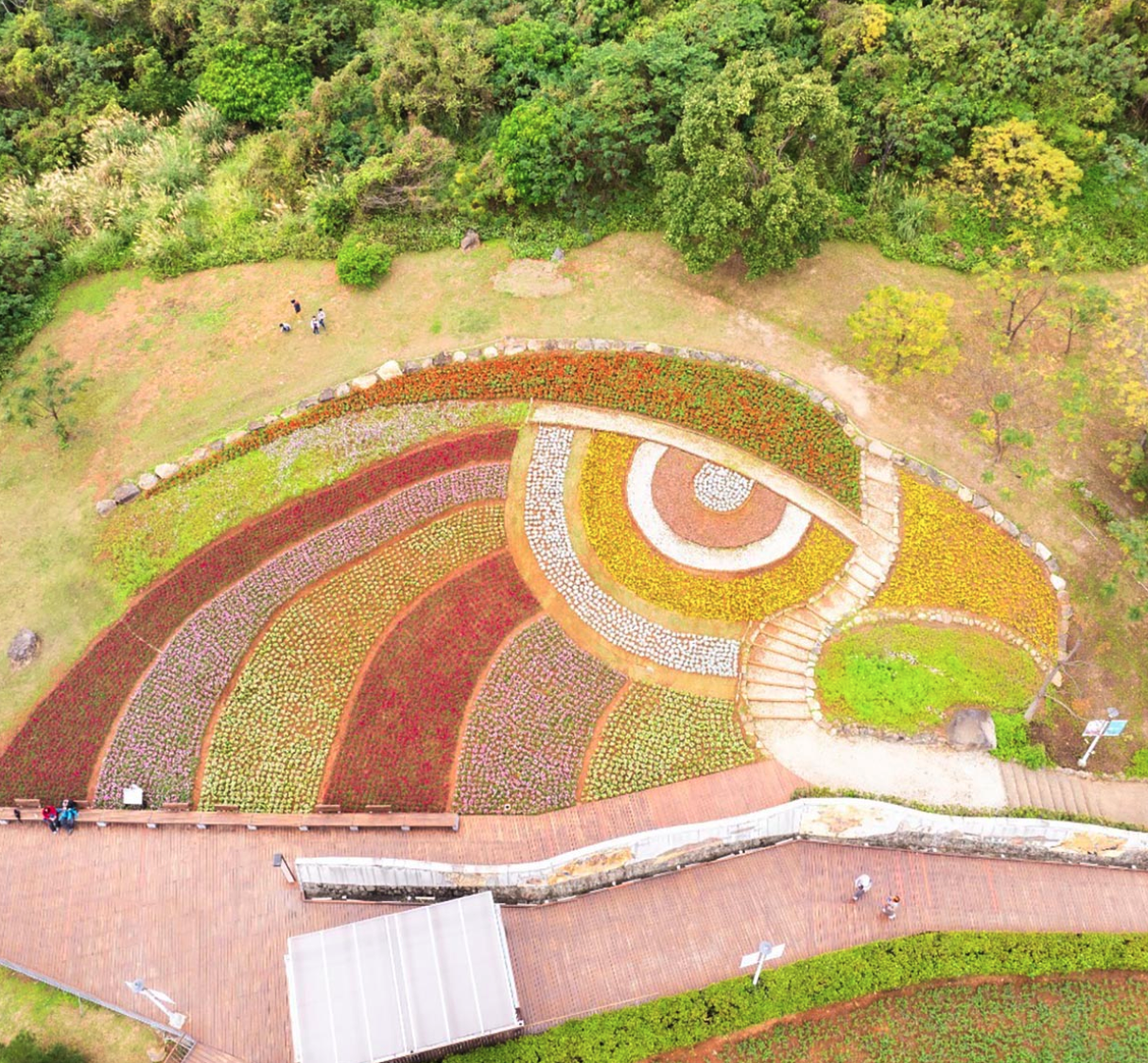 「三層崎花海」利用大量的花草打造出大冠鷲圖騰（圖：花 IN 台北官網）