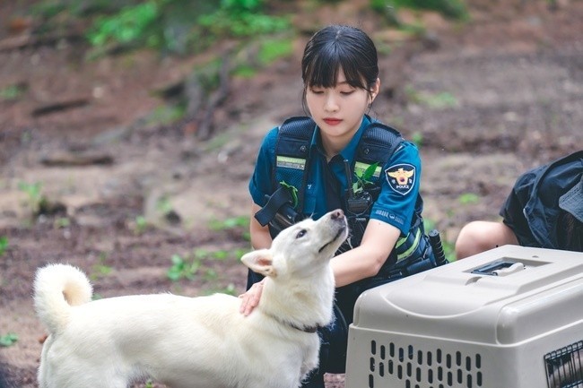 你覺得什麼小動物會被你吸引呢？（圖／Netflix，《偶然的田園日記》劇照）