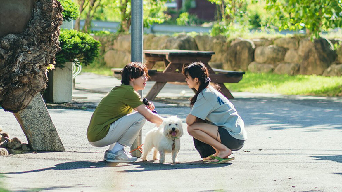 你覺得什麼小動物會被你吸引呢？（圖／Netflix，《夏天不上班》劇照）