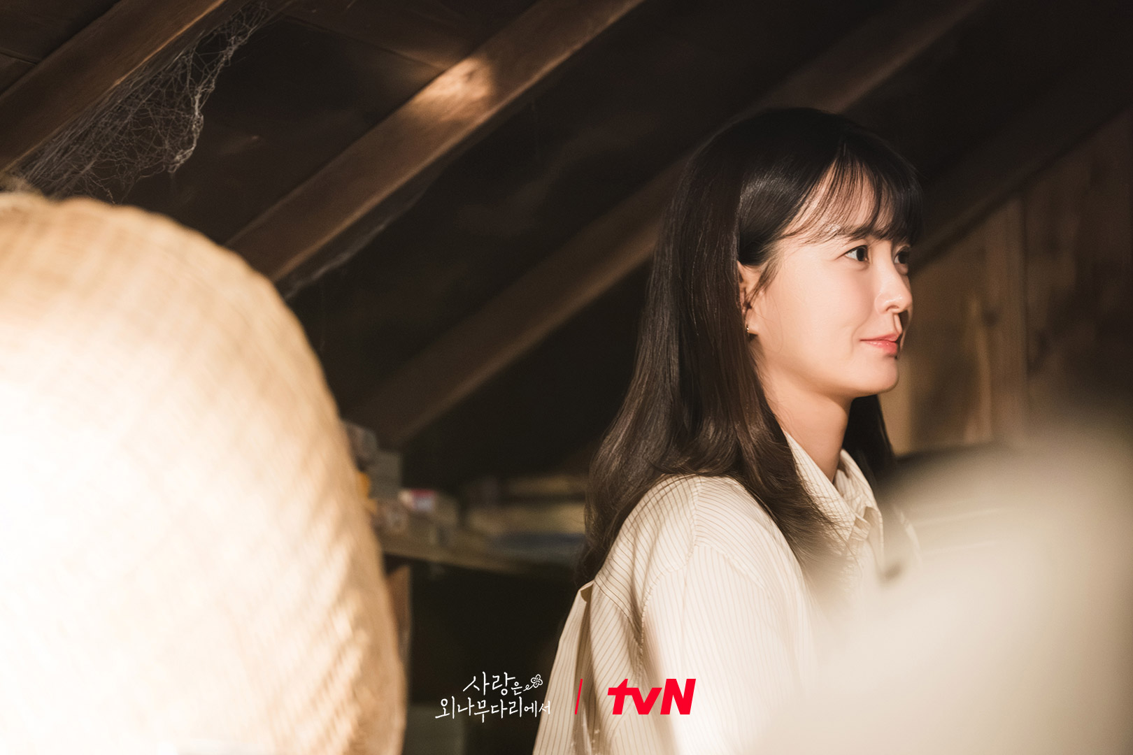 愛情來敲門時擋也擋不住。（圖／tvN，《愛在獨木橋》劇照）