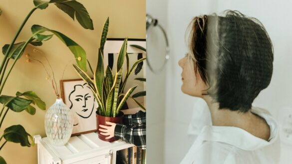 從植物到光線，讓家充滿能量的風水佈置小技巧。（圖／Pexels）