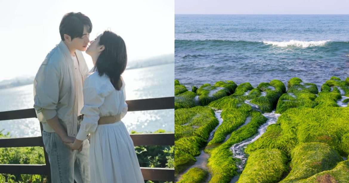 424423 2025 白色情人節約會指南!全台 6 大浪漫秘境,徜徉在絕美星河與櫻花海(圖:IG@leejunhyuk05、Canva)