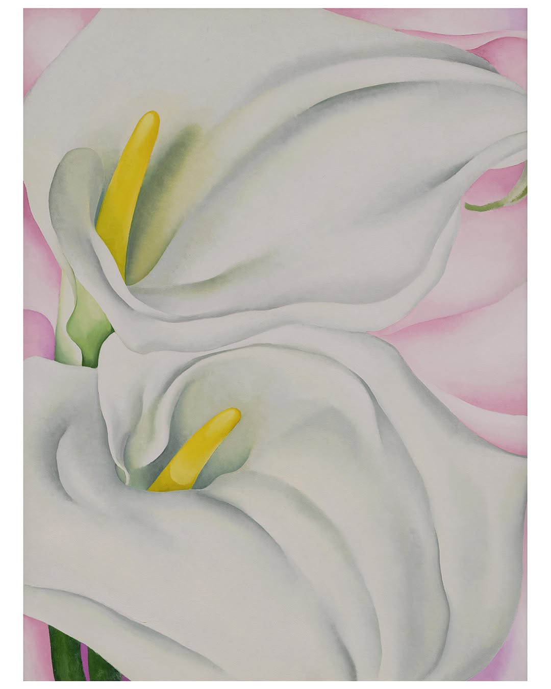 1924 年，Georgia O’Keeffe 開始創作最具代表性的花卉系列（圖：IG@okeeffemuseum）