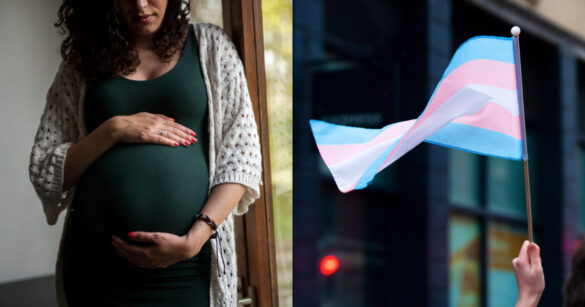 2/3-2/9一週國際大事回顧：百位泰國婦女遭詐騙強制取卵、川普禁跨性別參加女性賽事（圖：Canva）