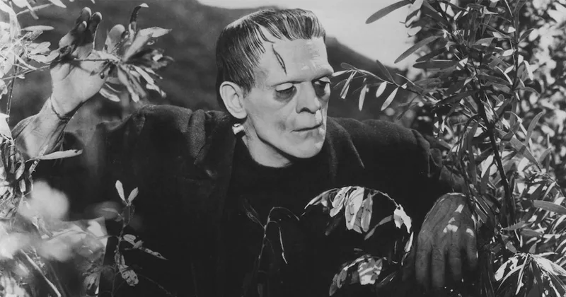 Frankenstein-1 科學怪人。(圖/IMDb)
