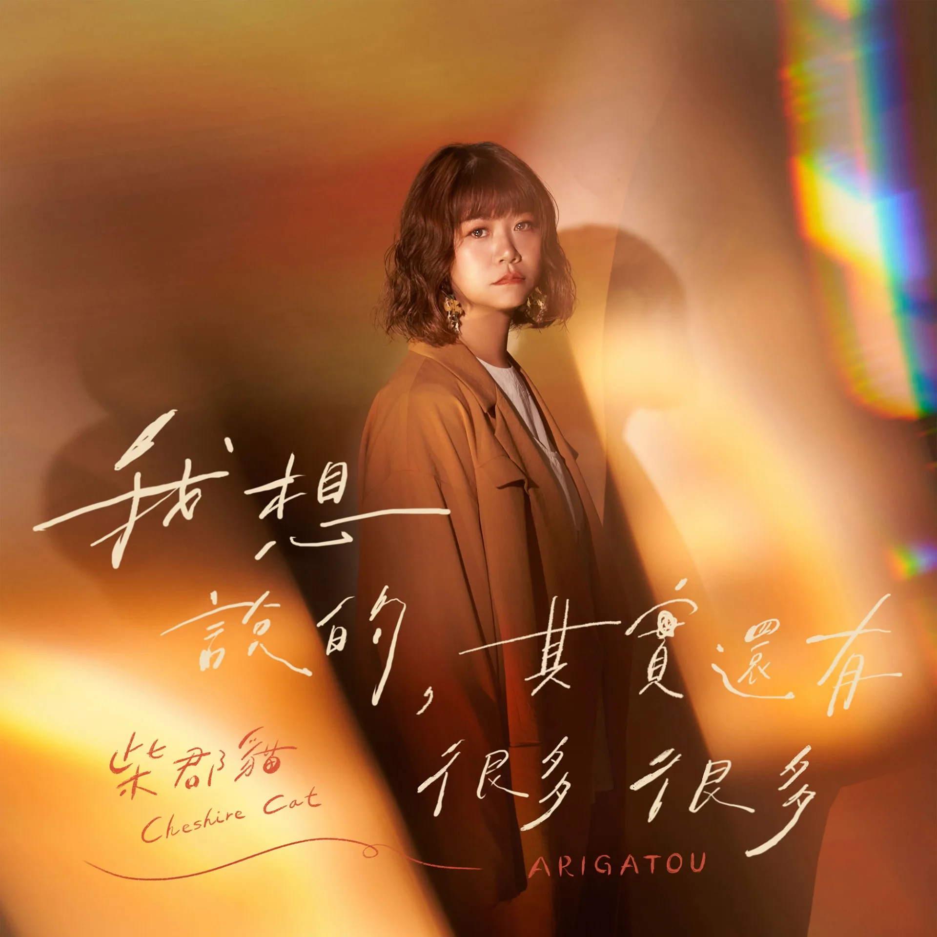 柴郡貓_中文單曲〈我想說的,其實還有很多很多〉封面 柴郡貓_中文單曲〈我想說的,其實還有很多很多〉封面