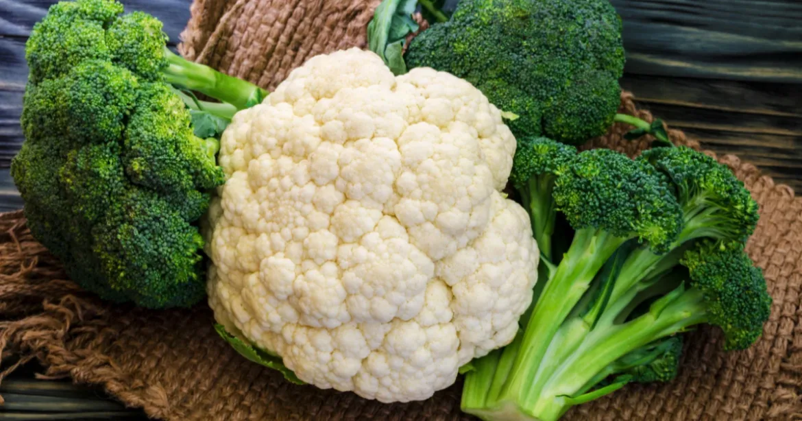 吃對蔬菜抗老又抗癌？這 4 種十字花科蔬菜，你不能不知道（圖：canva）