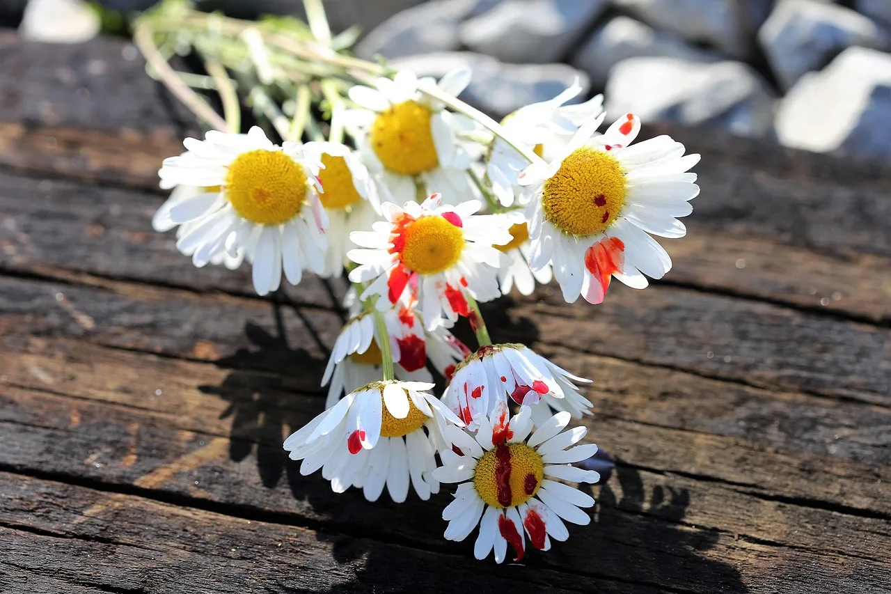 國際大事回顧 4:花蓮女教師教學夢斷,遭追求者闖宿舍殺害(圖:PIXABAY) 國際大事回顧 4:花蓮女教師教學夢斷,遭追求者闖宿舍殺害(圖:PIXABAY)