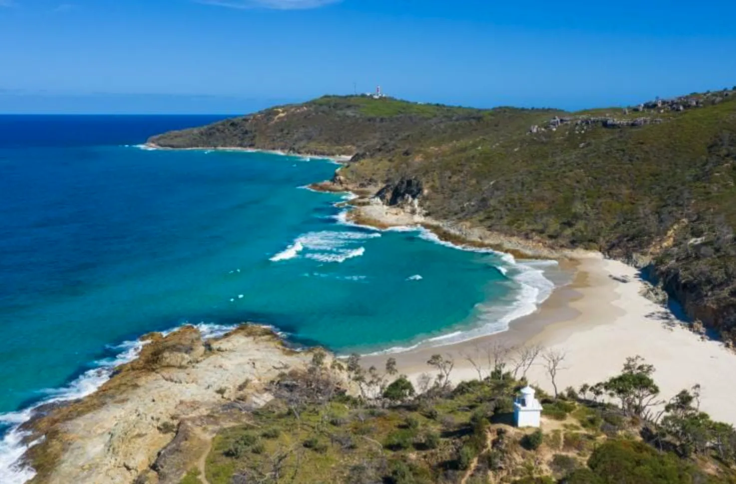 8780 他們的蜜月旅行則選在澳洲摩頓島(Moreton Island),被譽為「布里斯本的後花園」(圖:澳洲旅遊局)