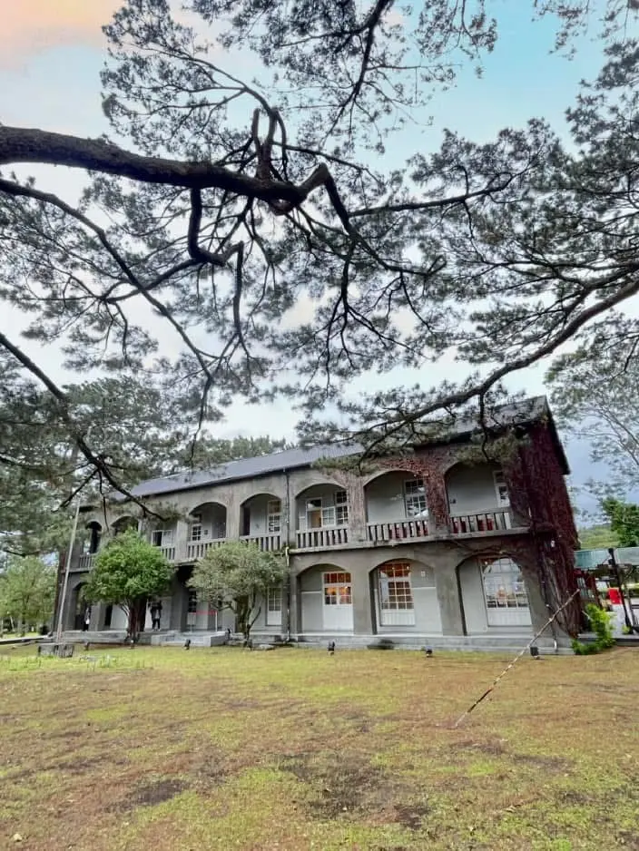 松園別館如今被百年琉球松林包圍,營造出林間古蹟與自然共存的靜謐氛圍(圖:FB@松園別館Pine Garden) 松園別館如今被百年琉球松林包圍,營造出林間古蹟與自然共存的靜謐氛圍(圖:FB@松園別館Pine Garden)