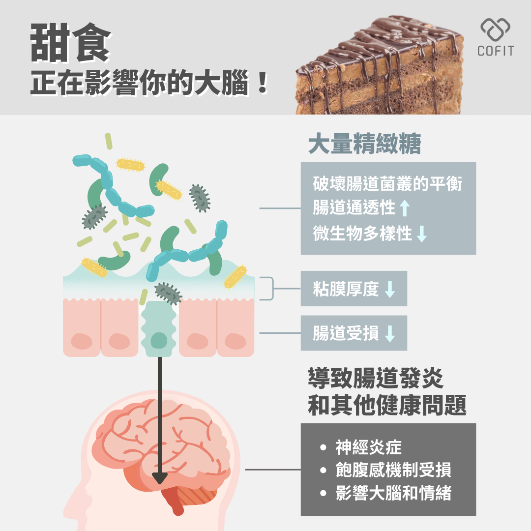 攝取過量的精緻糖，會引起腸道菌叢的失衡，導致「腸軸腦」混亂！
