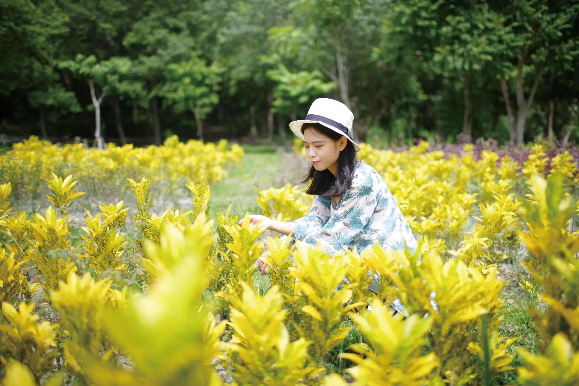美崙山森林公園適合帶孩子、寵物或親友來活動放鬆(圖:花蓮觀光資訊網) 美崙山森林公園適合帶孩子、寵物或親友來活動放鬆(圖:花蓮觀光資訊網)