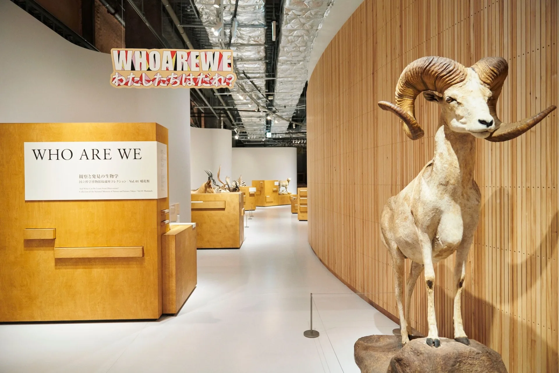 502901064 PLAY! MUSEUM 首度與國立自然科學博物館(Kahaku)合作,把平時塵封在倉庫、外界難得一見的頂級標本搬進展場(圖:FB@Play_2020)
