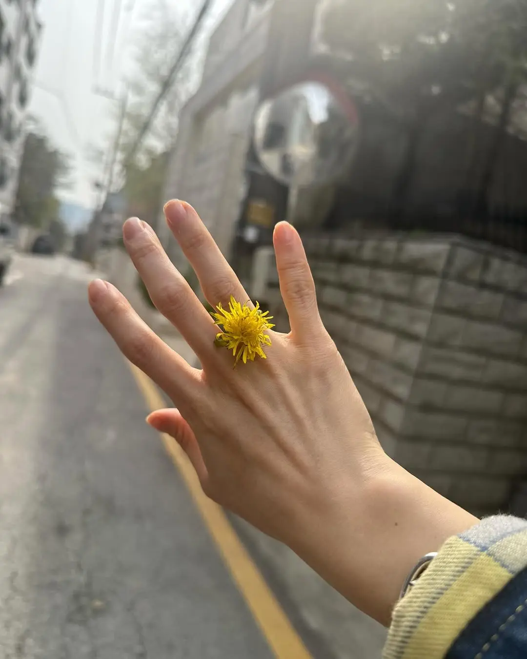 請記得，生活不是一連串任務清單，而是無數次「我選擇這樣活著」的累積（圖：IG@roma.emo）