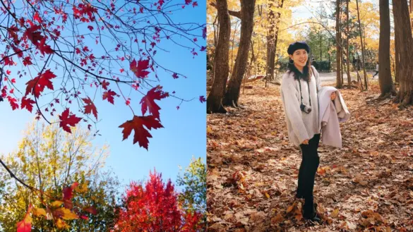 專訪｜加拿大打工度假 Yvonne 的蒙特婁工作冒險。（圖／Yvonne提供）