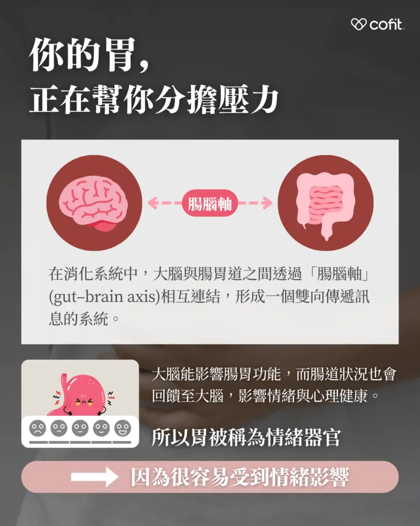 壓力會透過這個軸心，改變你的胃口和腸胃狀態。